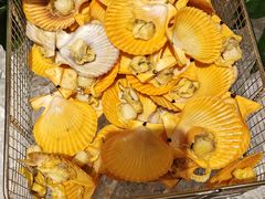 -广州增城保利郡雅酒店-月色西餐厅