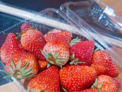 -果松木炭酸菜铜火锅·外婆参鸡汤