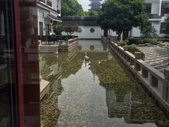 -苏州吴宫泛太平洋酒店