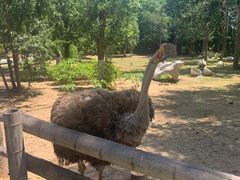 -大连森林动物园