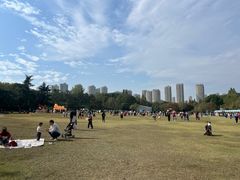 -青枫公园
