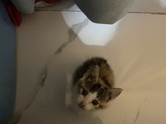 -暖阳宠物医院·犬猫康复中心·骨科