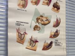 -瑞派福兴宠物医院犬猫全科·骨科·中西医结合(河东店)