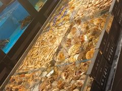 -百富源·海鲜辽菜(张士店)