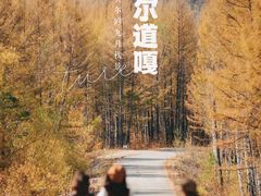 -莫尔道嘎国家森林公园
