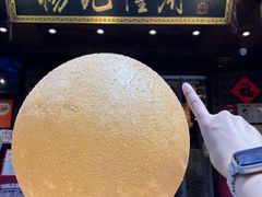 -杨记隆府(重庆总店)