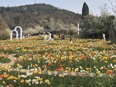 -名花谷生态庄园