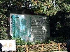 -苏堤停车场