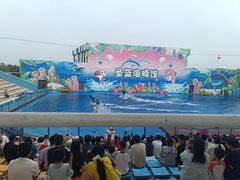 -北戴河圣蓝海洋公园