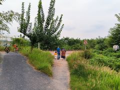 -乌龙涧铁道铁轨景