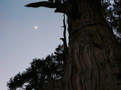 -云中大漈