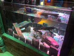 -沈阳海洋探索中心