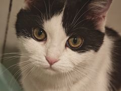 -骨味坊·十二年老店(宝业东城广场店)