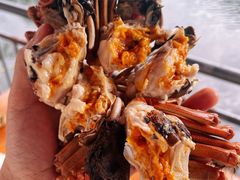 -喜洋洋蟹庄(阳澄湖店)