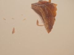 -全聚德(双井店)