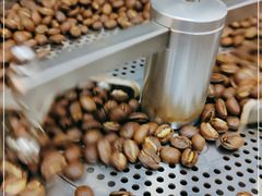 -Again Coffee Roaster(香蜜湖店)