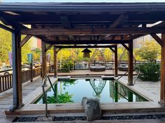 -大江户·温泉洗浴(浑南店)