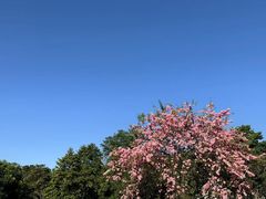 -东莞植物园