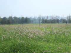 -汉长安城未央宫国家考古遗址公园