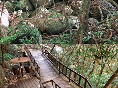 -七仙岭温泉国家森林公园