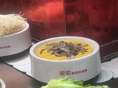 -龍歌自助小火锅(雨花台江南虹悦城店)
