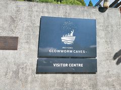 -怀托摩萤火虫洞