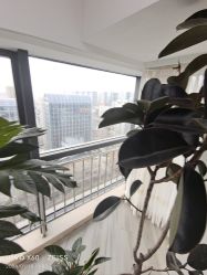 -HEYAN荷妍专业脱毛连锁机构