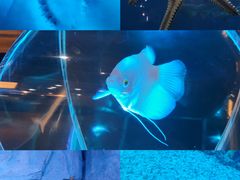 -海合安青岛极地海洋公园