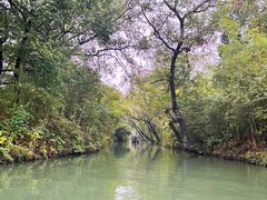 -西溪国家湿地公园