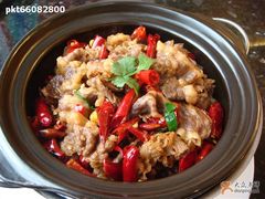 肥牛-鹿港小镇(黄金店)