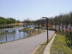-东郊湿地公园