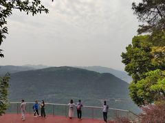 -铁山坪森林公园