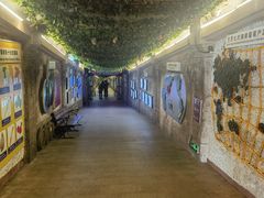 -青岛葡萄酒博物馆