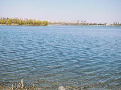 -丁香湖公园