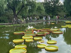 -国家植物园南园