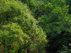 -北山公园