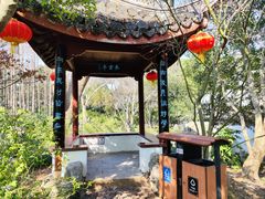 -上海醉白池公园