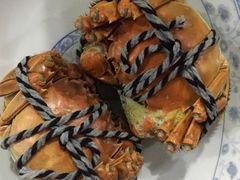 正宗阳澄湖大闸蟹-喜洋洋蟹庄(阳澄湖店)