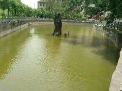 -冯子材故居