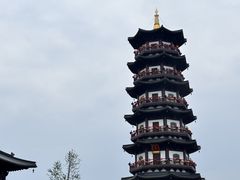 -衢州大荫山丛林飞越探险乐园