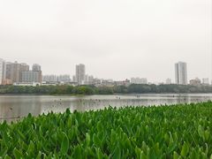 -南宁南湖公园