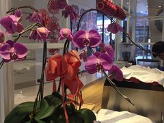 意·咖啡-E·cafe(新梅广场店)