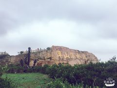 -洋山深水港