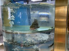 水产区-吃城都·鱼蛙火锅(西玉龙街店)