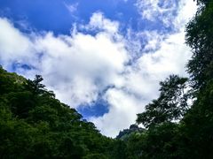 -朱雀国家森林公园