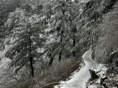 -洛阳白云山景区