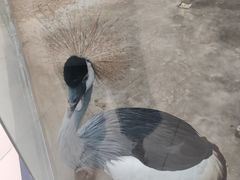 -洛阳龙门海洋馆