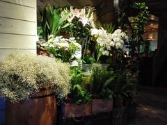 等位区-春暖花开(西溪店)