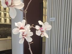 -墨宴(西洋湖店)