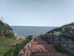 -漳州滨海火山岛自然生态风景区